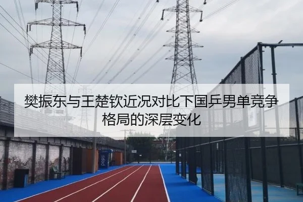 樊振东与王楚钦近况对比下国乒男单竞争格局的深层变化