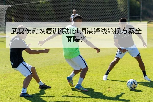 武磊伤愈恢复训练加速海港锋线轮换方案全面曝光